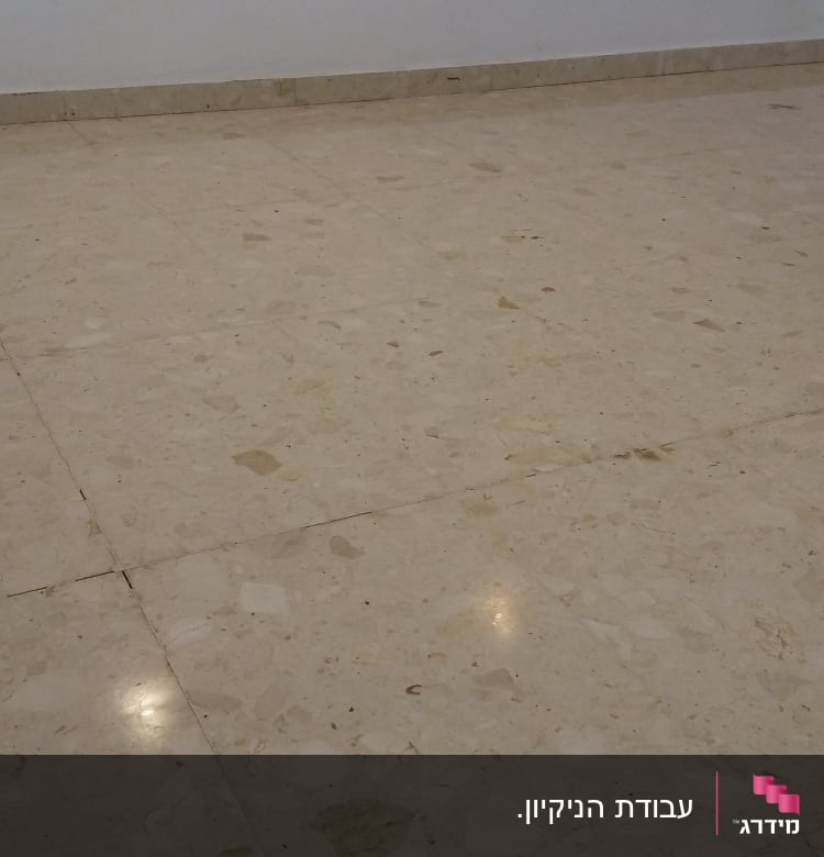 רצפה נקייה עם השתקפות אור על האריחים